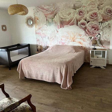 Chez Ghislaine Villa Saint-Appolinard  Bagian luar foto