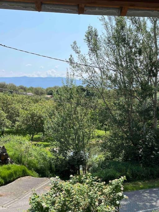 Chez Ghislaine Villa Saint-Appolinard  Bagian luar foto